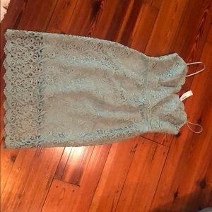NWT J Crew Blue Lace Dress